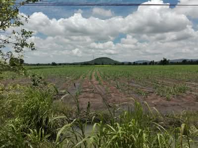 ขาย - ขายที่ดิน 3 แปลงติดกันติดถนนเมน อ.โคกสำโรง, ลพบุรี