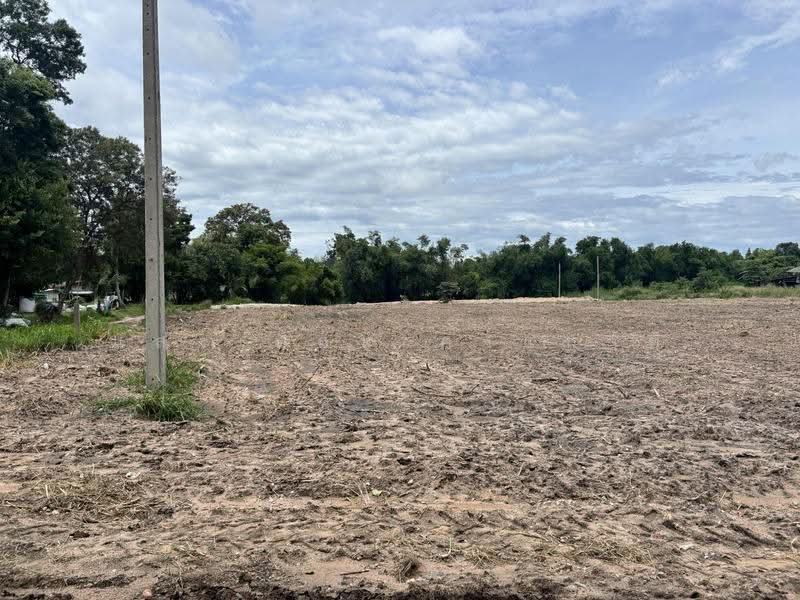 ที่ดินหนองรีชลบุรี, chon-buri, เลิศบำรุง, Nong Ri, Muang Chon Buri, Chon Buri (Pattaya), , 9,600 sqm, Land For Sale, by แสงเดือน คงแนวดี, 500000046 - DDproperty.com
