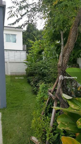 For Rent - ศุภาลัย วิลล์ โชตนา-รวมโชค, Chiang Mai