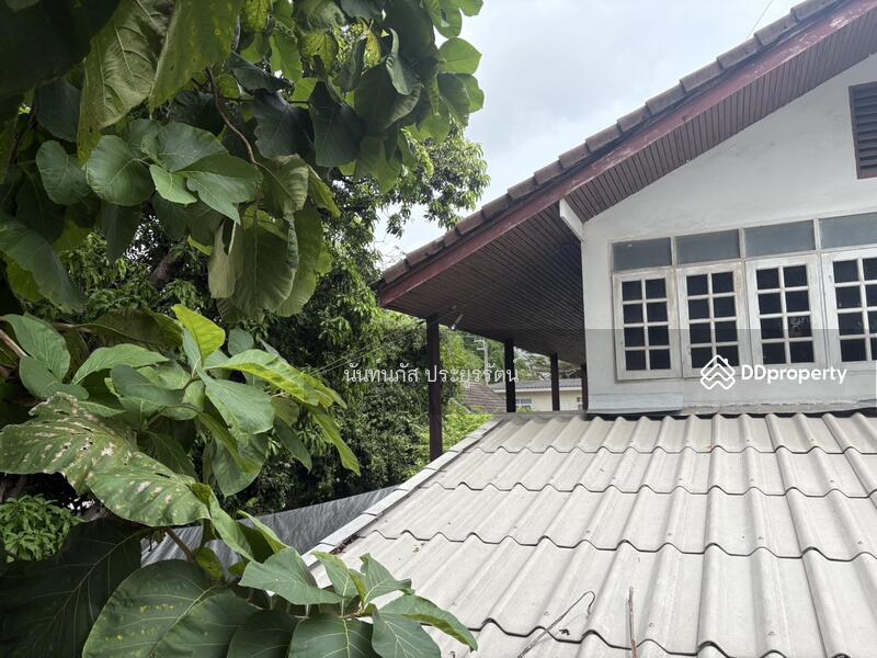 ขาย - ขายบ้านเดี่ยว สุขุมวิท 101 ปุณณวิถี20, กรุงเทพ