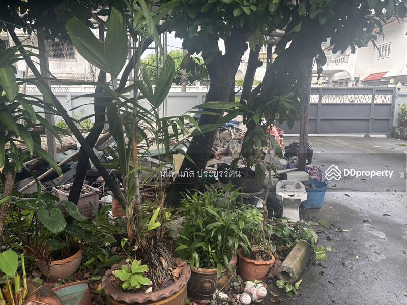 ขาย - ขายบ้านเดี่ยว สุขุมวิท 101 ปุณณวิถี20, กรุงเทพ