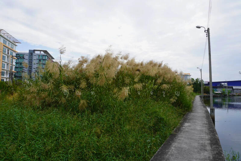 ขาย - เอแบค บางนา, สมุทรปราการ