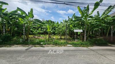 ขาย - ขายที่ดินเปล่าถมแล้ว ทำเลทอง ศรีนครินทร์ 42 ซอยสุภาพงษ์ 1 แยก 8, กรุงเทพ