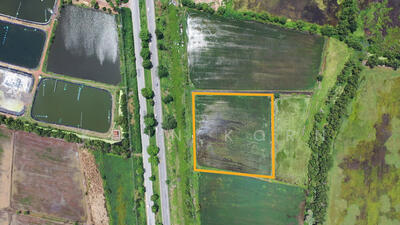 ขาย - ตำบลเมืองใหม่ อำเภอราชสาส์น จังหวัดฉะเชิงเทรา, ฉะเชิงเทรา