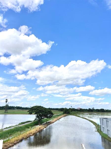 ขาย - อาคารพาณิชย์ ถ.เลี่ยงเมืองสุพรรณฯ ตรงข้ามร้านกาแฟเมืองเหน่อ, สุพรรณบุรี