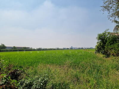 ขาย - คลองหลวง, ปทุมธานี