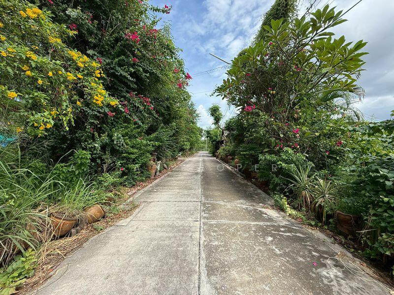 ขายที่ดิน บางแสน-อ่างศิลา 