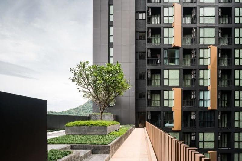 The Base Height Phuket : เดอะเบส ไฮท์ ภูเก็ต, ภูเก็ต, 359 ถนน หงษ์หยกอุทิศ, ตลาดใหญ่, เมืองภูเก็ต, ภูเก็ต, 35 ตร.ม., คอนโด ให้เช่า, โดย Built, 500002179 - DDproperty.com
