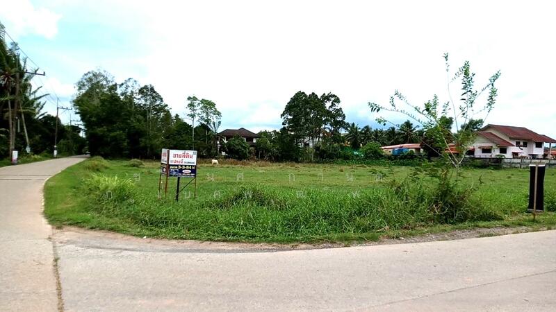 For Sale - ห้าแยกธีระ, Chumphon
