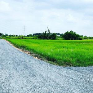 ขาย - มิตรไมตรีซอย 6 แขวงหนองจอก เขตหนองจอก กทม 10530, กรุงเทพ