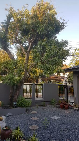 For Rent - Sammakorn Ramkamhang 112, Bangkok