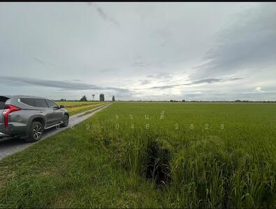 ขาย - ขายที่ดินสวย อำเภอเมืองสุพรรณ ซื้อเก็บทำกำไร เเบ่งเเปลงขาย, สุพรรณบุรี