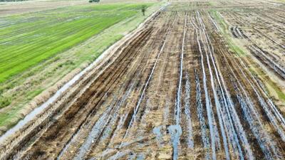 ขาย - อำเภอลาดหลุมแก้ว จังหวัดปทุมธานี, ปทุมธานี