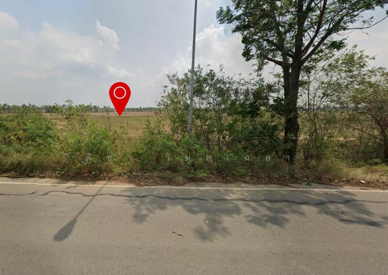 For Sale - ต.หนองพระ อ.วังทรายพูน จ.พิจตร, Phichit