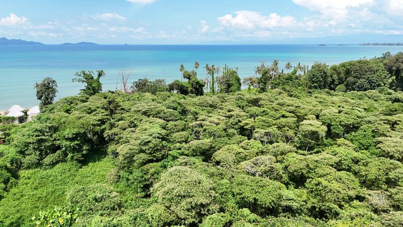 ที่ดินติดทะเลวิวทะเลสวย