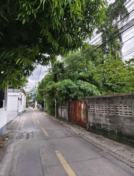 ให้เช่า - D65 Condominium : ดี 65 คอนโดมิเนียม, กรุงเทพ