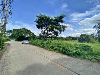 ขาย - ที่ดิน ถนนทางหลวงชนบท นบ.5027 นนทบุรี ต.หนองเพรางาย อ.ไทรน้อย จ. นนทบุรี, นนทบุรี