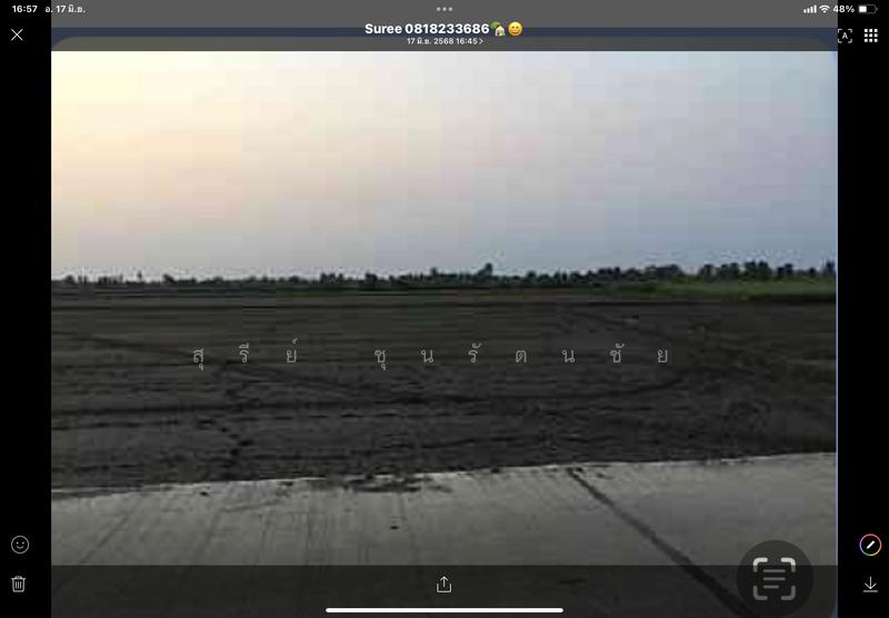 ขาย - ขายที่ดิน 49 ไร่ 279 ตร.ว. ต.ดอนมะนาว (หวายสอ) อ.สองพี่น้อง จ.สุพรรณบุรี, สุพรรณบุรี