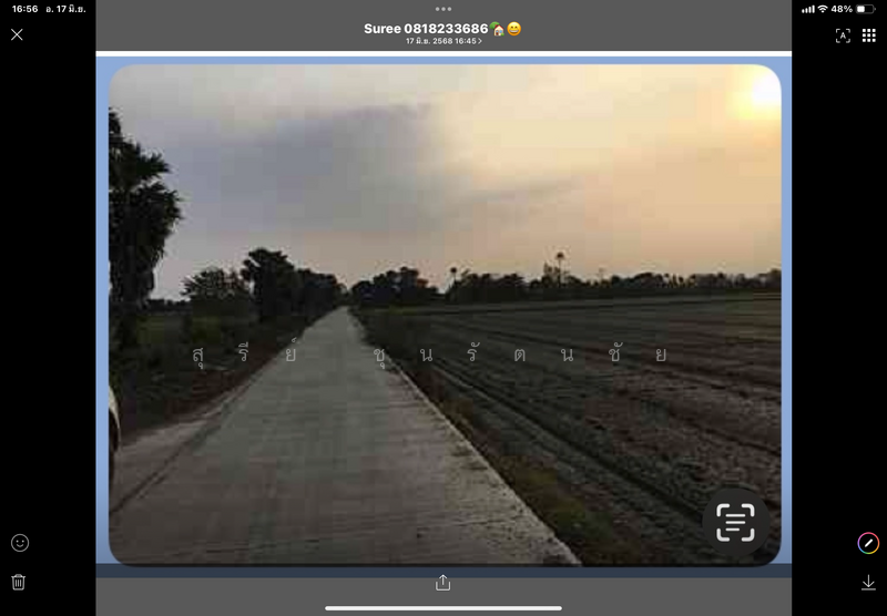 ขาย - ขายที่ดิน 49 ไร่ 279 ตร.ว. ต.ดอนมะนาว (หวายสอ) อ.สองพี่น้อง จ.สุพรรณบุรี, สุพรรณบุรี