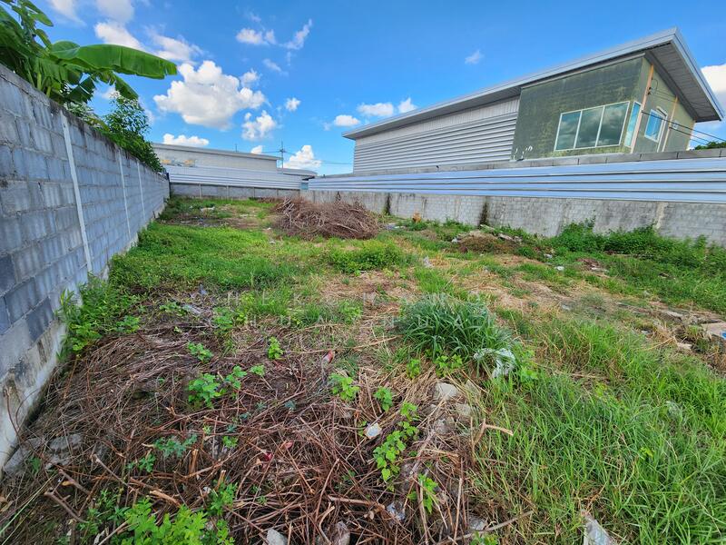 For Sale - ที่ดินจัดสรรโกดัง ลาดหลุมแก้ว ปทุมธานี 151 ตารางวา, Pathum Thani