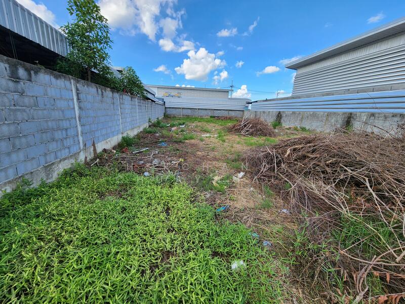 For Sale - ที่ดินจัดสรรโกดัง ลาดหลุมแก้ว ปทุมธานี 151 ตารางวา, Pathum Thani