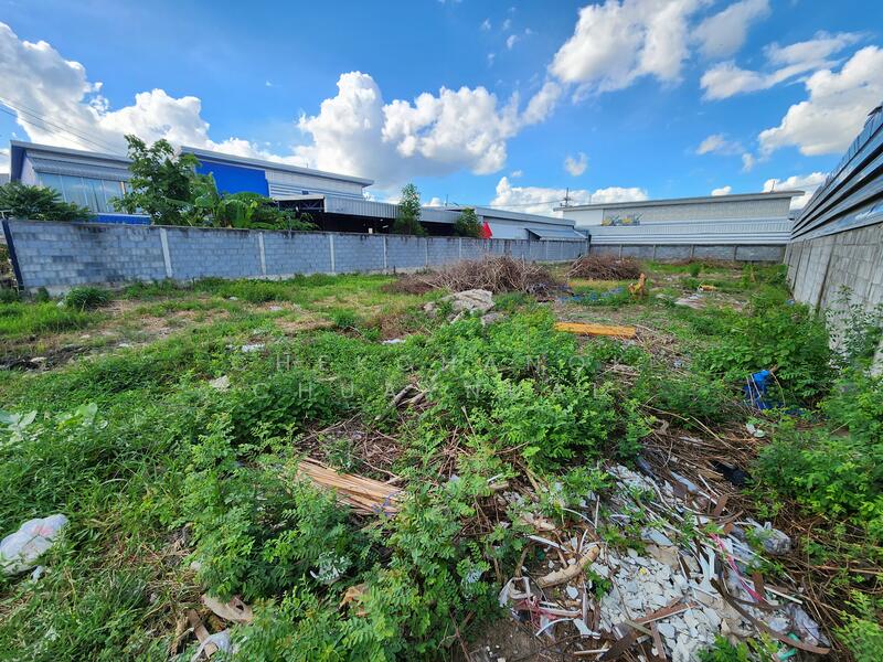 For Sale - ที่ดินจัดสรรโกดัง ลาดหลุมแก้ว ปทุมธานี 151 ตารางวา, Pathum Thani