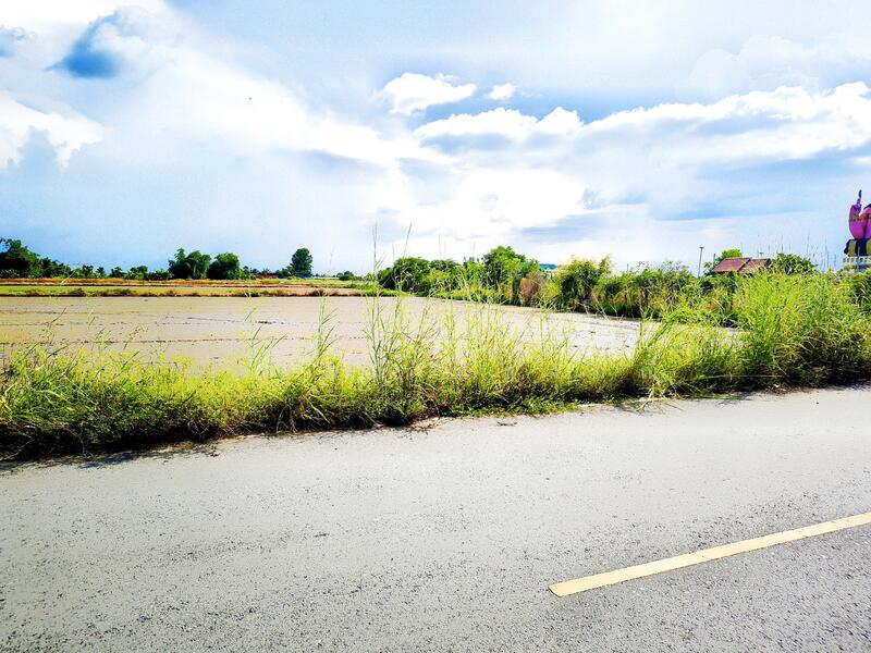 For Sale - ต.โพรงอากาศ อ.บางน้ำเปรี้ยว จ.ฉะเชิงเทรา, Chachoengsao