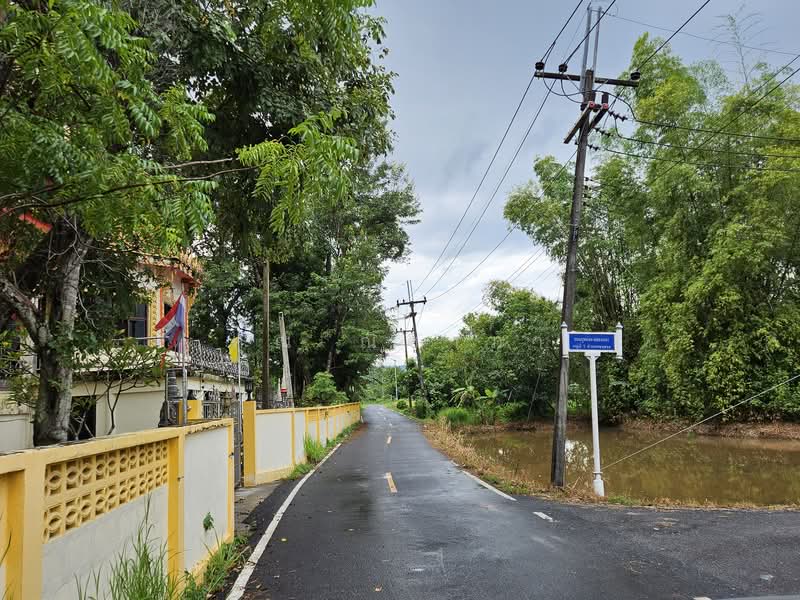 ที่ดินพร้อมสิ่งปลูกสร้าง วิวเขาใหญ่-ต.เขาพระ อ.เมือง จ.นครนายก, Nakhon Nayok, Khao Phra, Muang Nakhon Nayok, Nakhon Nayok, , 1,000 sqm, Land For Sale, by คุณ ณิชาภา, 500006055 - DDproperty.com