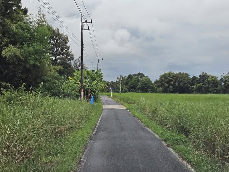 ที่ดินพร้อมสิ่งปลูกสร้าง วิวเขาใหญ่-ต.เขาพระ อ.เมือง จ.นครนายก, Nakhon Nayok, Khao Phra, Muang Nakhon Nayok, Nakhon Nayok, , 1,000 sqm, Land For Sale, by คุณ ณิชาภา, 500006055 - DDproperty.com