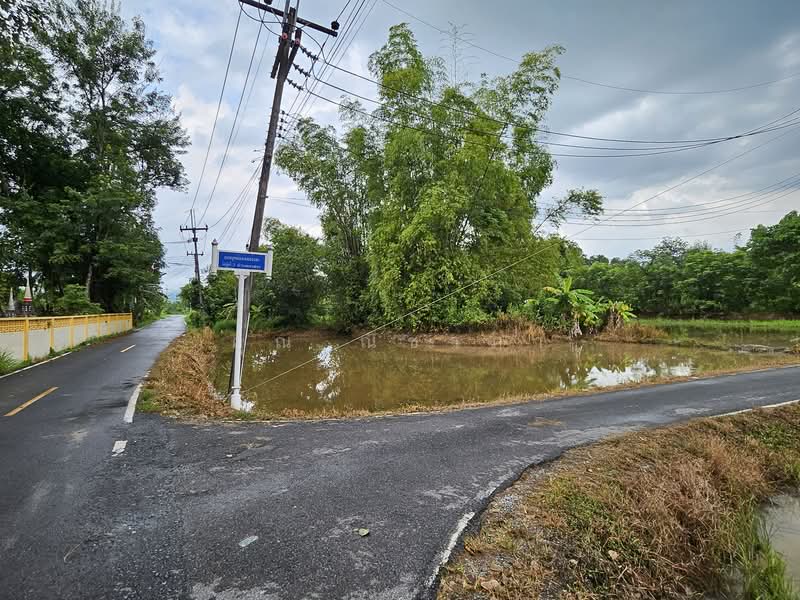 ที่ดินพร้อมสิ่งปลูกสร้าง วิวเขาใหญ่-ต.เขาพระ อ.เมือง จ.นครนายก, Nakhon Nayok, Khao Phra, Muang Nakhon Nayok, Nakhon Nayok, , 1,000 sqm, Land For Sale, by คุณ ณิชาภา, 500006055 - DDproperty.com