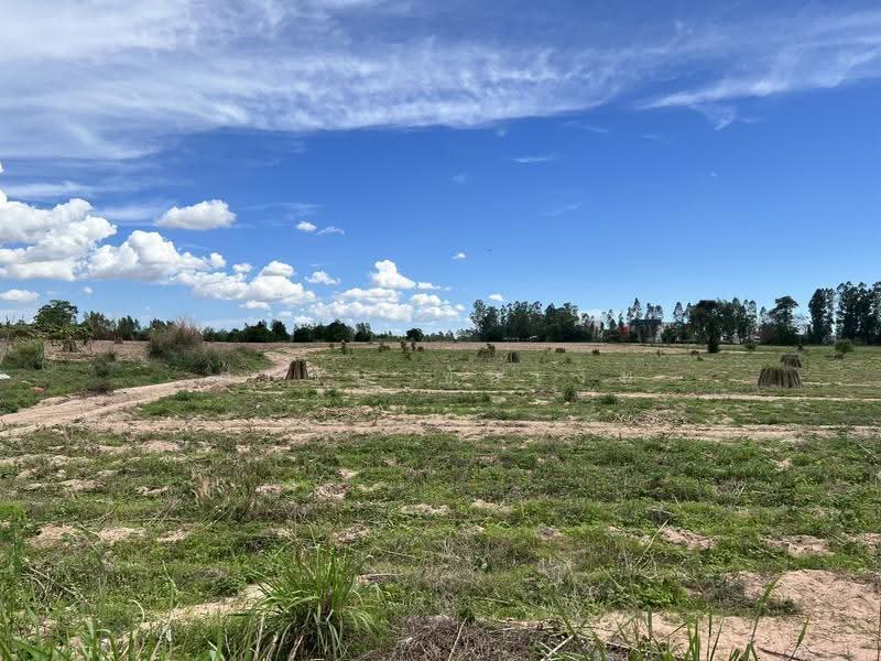 ขายที่ดินเปล่า เครือสหพัฒน์ 278 ไร่, chon-buri, Bueng, Si Racha, Chon Buri (Pattaya), , 444,800 sqm, Land For Sale, by ตะวัน ขันเงิน, 500007249 - DDproperty.com