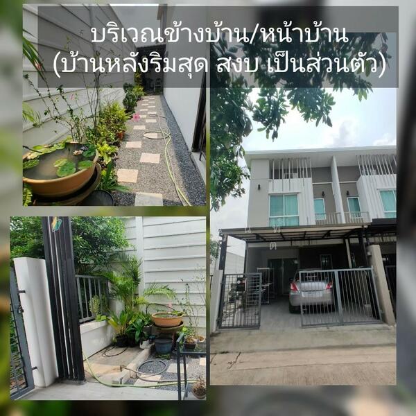 ให้เช่า - ทาวน์เฮ้าส์ศาลายา, นครปฐม