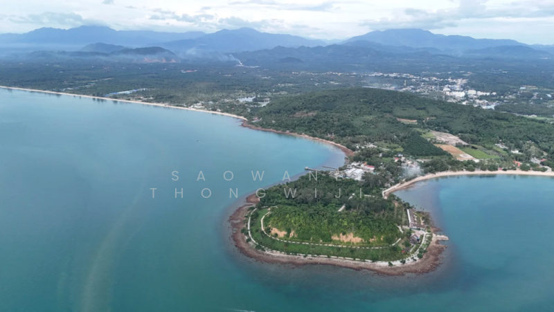 Three Titled Beachfront Lots in Sichon, นครศรีธรรมราช, สิชล, สิชล, นครศรีธรรมราช, 392 ตร.ม., ที่ดิน ขาย, โดย Saowanee Thongwijit, 500007605 - DDproperty.com