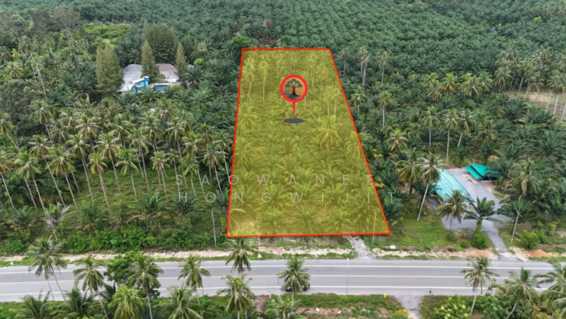 5 Rai in Sichon, Nakhon Si Thammarat, Thung Sai, Sichon, Nakhon Si Thammarat, , 8,148 sqm, Land For Sale, by Saowanee Thongwijit, 500007628 - DDproperty.com