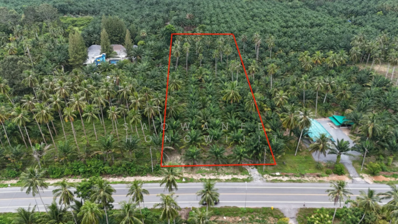 5 Rai in Sichon, Nakhon Si Thammarat, Thung Sai, Sichon, Nakhon Si Thammarat, , 8,148 sqm, Land For Sale, by Saowanee Thongwijit, 500007628 - DDproperty.com
