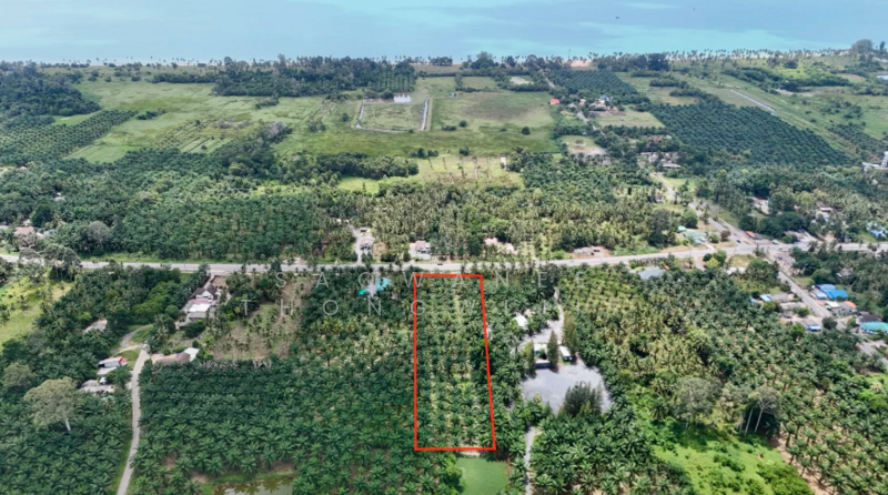 5 Rai in Sichon, Nakhon Si Thammarat, Thung Sai, Sichon, Nakhon Si Thammarat, , 8,148 sqm, Land For Sale, by Saowanee Thongwijit, 500007628 - DDproperty.com