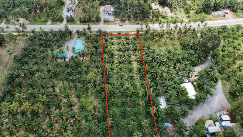 5 Rai in Sichon, Nakhon Si Thammarat, Thung Sai, Sichon, Nakhon Si Thammarat, , 8,148 sqm, Land For Sale, by Saowanee Thongwijit, 500007628 - DDproperty.com