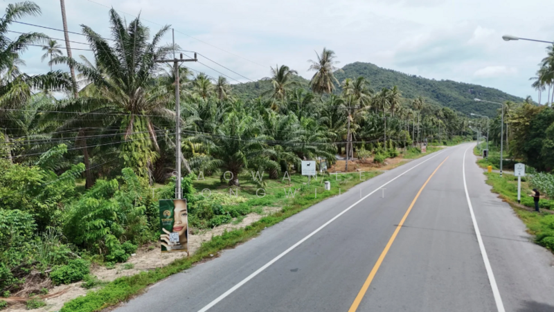 5 Rai in Sichon, นครศรีธรรมราช, ทุ่งใส, สิชล, นครศรีธรรมราช, 8,148 ตร.ม., ที่ดิน ขาย, โดย Saowanee Thongwijit, 500007628 - DDproperty.com