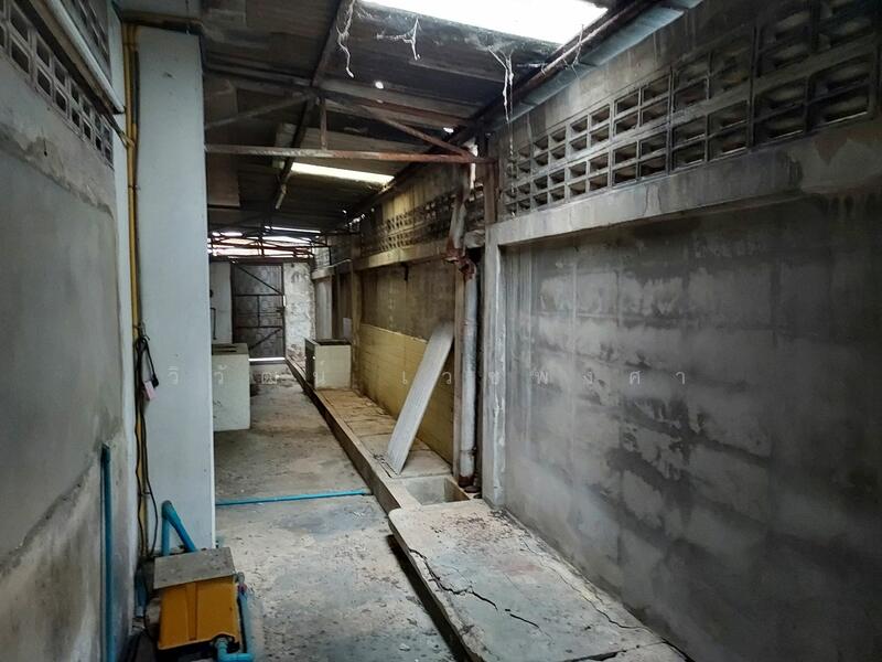 ขายที่ดินแถมสิ่งปลูกสร้าง ซ.อ่อนนุช20 (สุขุมวิท77) 572ตรว.,ใกล้ BTS อ่อนนุช, กรุงเทพ, บางจาก, พระโขนง, กรุงเทพ, 1,000 ตร.ม., โกดัง-โรงงาน ขาย, โดย วิวัฒน์ เวชพงศา, 500007953 - DDproperty.com