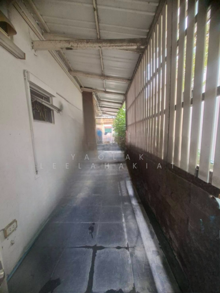 ขาย - Atoll Maldives Palms : เอโทล มัลดีฟส์ ปาล์ม, สมุทรปราการ