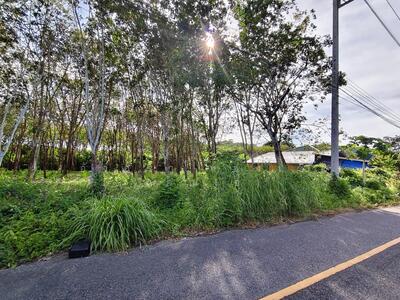 ขาย - ที่ดิน ต.ท่าช้าง อ.เมือง จ.จันทบุรี, จันทบุรี