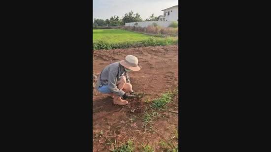 ที่ดินเพชรบูรณ์แปลงเล็กผ่อนได้ 1 งาน 269,000 บาท, Phetchabun, Dong Mun Lek, Muang Phetchabun, Phetchabun, , 400 sqm, Land For Sale, by ธัญลักษณ์ อิสระโชติรัตน์, 500008100 - DDproperty.com
