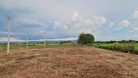 ที่ดินเพชรบูรณ์แปลงเล็กผ่อนได้ 1 งาน 269,000 บาท, Phetchabun, Dong Mun Lek, Muang Phetchabun, Phetchabun, , 400 sqm, Land For Sale, by ธัญลักษณ์ อิสระโชติรัตน์, 500008100 - DDproperty.com