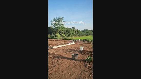 ที่ดินเพชรบูรณ์แปลงเล็กผ่อนได้ 1 งาน 269,000 บาท, Phetchabun, Dong Mun Lek, Muang Phetchabun, Phetchabun, , 400 sqm, Land For Sale, by ธัญลักษณ์ อิสระโชติรัตน์, 500008100 - DDproperty.com