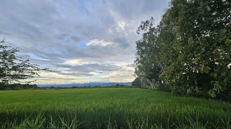 ที่ดินเพชรบูรณ์แปลงเล็กผ่อนได้ 1 งาน 269,000 บาท, เพชรบูรณ์, ดงมูลเหล็ก, เมืองเพชรบูรณ์, เพชรบูรณ์, 400 ตร.ม., ที่ดิน ขาย, โดย ธัญลักษณ์ อิสระโชติรัตน์, 500008100 - DDproperty.com