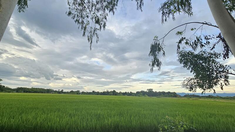 ที่ดินเพชรบูรณ์แปลงเล็กผ่อนได้ 1 งาน 269,000 บาท, Phetchabun, Dong Mun Lek, Muang Phetchabun, Phetchabun, , 400 sqm, Land For Sale, by ธัญลักษณ์ อิสระโชติรัตน์, 500008100 - DDproperty.com