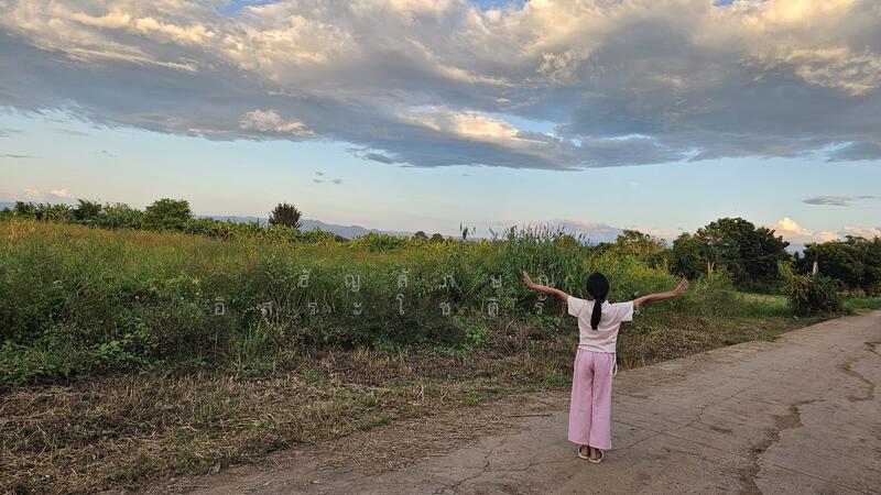 ขายที่ดินเพชรบูรณ์ 5-0-93 ไร่ 1.59 ล้านบาท ใกล้ตัวเมือง 5 กม., Phetchabun, Dong Mun Lek, Muang Phetchabun, Phetchabun, , 8,372 sqm, Land For Sale, by ธัญลักษณ์ อิสระโชติรัตน์, 500008114 - DDproperty.com