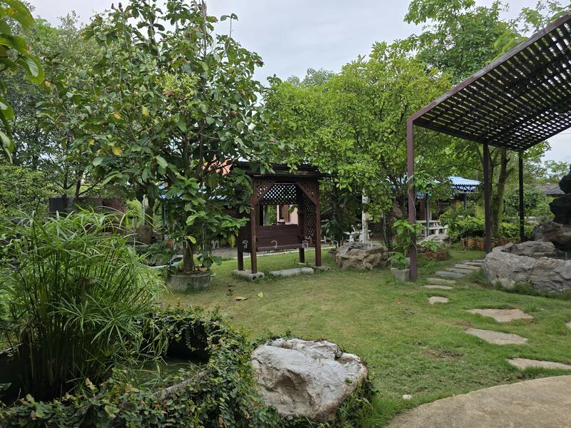 ขาย - สมุทราสาคร, สมุทรสาคร