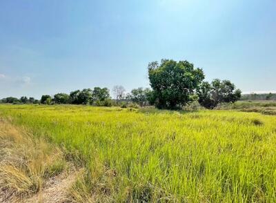 ขาย - ที่ดินบางน้ำเปรี้ยว ฉะเชิงเทรา, ฉะเชิงเทรา