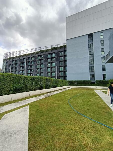 ดาดฟ้า พื้นวิ่งได้